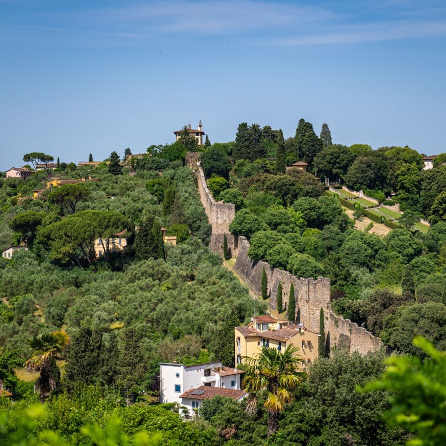 503100779_3971015503214187_2371430053180526827_n