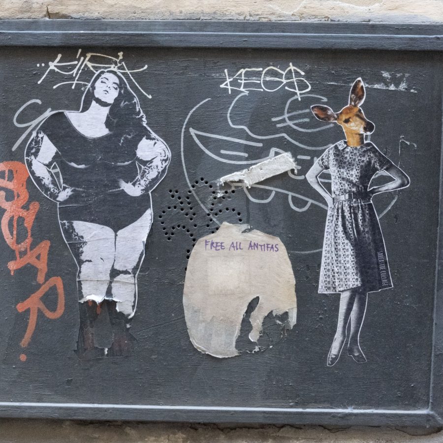 503931761_3971014223214315_8573920770679049672_n