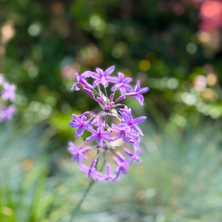 504063696_3971419366507134_3003315990225108288_n